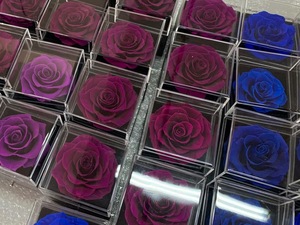 Boîte à bijoux en forme de <span class=keywords><strong>rose</strong></span> <span class=keywords><strong>éternelle</strong></span> à <span class=keywords><strong>prix</strong></span> avantageux, boîte à bijoux en forme de <span class=keywords><strong>rose</strong></span>, fleurs infinies, roses conservées - Product Image 6