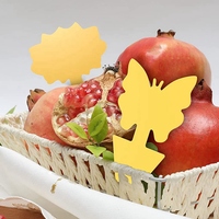 Plastic Dubbelzijdige Gele Fruitvlieg Plakkerige Fruitvlieg Vangt Muggen Witte Vlieg Kleine Insecten Insectenvanger Voor Tuinbenodigdheden
