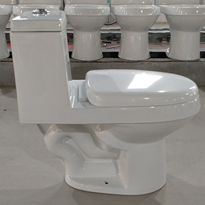 Toilette écologique personnalisée Clasico Blanco en céramique à double chasse Inodoro Sanitarios Cuvette siphonique sans rebord Inodoro Toilette monobloc - Product Image 3