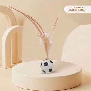 Neues Design Katzen spielzeug Ball Katzen feder Teaser Spielzeug Interaktives Haustier Zauberstab Spielzeug mit Feder - Product Image 2