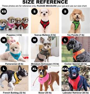 Tali Kekang Anjing Lembut Authentic Puppia Terbuat dari 100% Poliester Sabuk Dada Yang Dapat Disesuaikan dengan Gesper Plastik dan Gesper Pelepas Cepat - Product Image 4