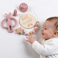 Coffret Cadeau de Jouets de Dentition en Silicone pour Bébé, Chaîne Attache-Sucette en Bois Étoile, Anneau de Dentition Doux Lapin Éléphant, Cadeau de Naissance pour Nouveau-né