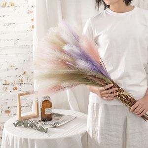 Fleurs séchées artificielles CallaFloral Pampas Grass, branche unique, pour décoration intérieure et fournitures de mariage - Product Image 1