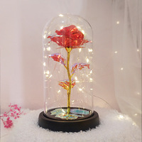 Kotak hadiah penutup kaca lampu malam LED bunga mawar Foil emas grosir hadiah ulang tahun kreatif Hari Valentine Thanksgiving Modern