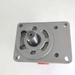 Huile pour engrenages rotatifs hydrauliques en fer de la série Hansen AZPS AZPW AZPW-11 - Origine Shandong - Garantie 1 an - Product Image 3