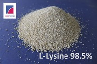 Sac de 25 kg de L-Lysine Sulfate 70% Qualité Alimentaire Acides Aminés Pureté 98,5% Haute Qualité pour la Croissance Animale