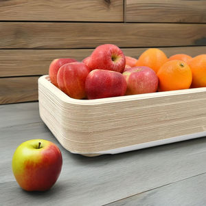 Bandeja Grande + Combo Plato Mediano-Paquete de 50 Bandeja de 14 pulgadas + Paquete de 100 Platos Cuadrados Desechables de 8 pulgadas - Product Image 1