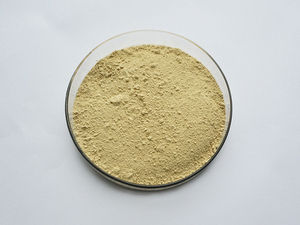 Chiết Xuất <span class=keywords><strong>Astragalus</strong></span> Tự Nhiên 10% ~ 80% Bột Polysaccharide <span class=keywords><strong>Astragalus</strong></span> - Product Image 2