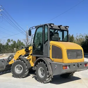 1.6t mais novo modelos carregador de extremidade frontal para venda, braço duplo, haste de tração dupla