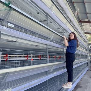 Zware Commerciële Kippenuitrusting Eierproductie Met Hoge Capaciteit Automatisch H-Type Laagkooisysteem Voor Pluimveebedrijven In Brazilië - Product Image 1