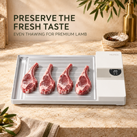 Plaque de décongélation intelligente en aluminium de qualité alimentaire pour poulet et poisson congelé plateau de décongélation rapide de la viande