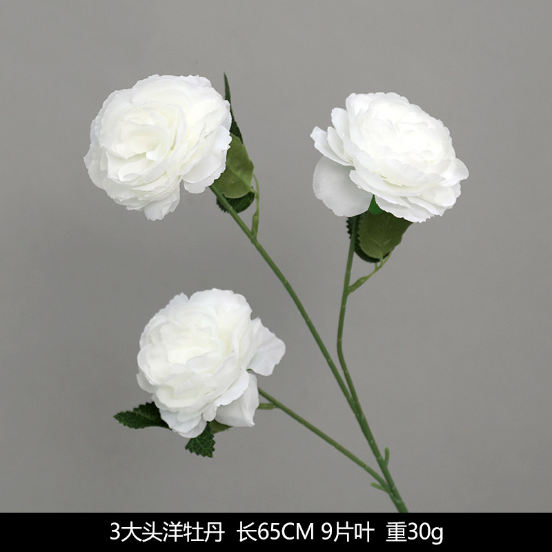 3 Peonie a Testa Grande