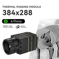 Caméra thermique WINBIG 384, longueur focale 4 mm 9,1 mm, interface CBVS, module infrarouge non refroidi pour la surveillance industrielle