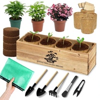 Kit de démarrage portable pour bonsaï au design Art Déco haut de gamme, boîte cadeau en bois, tapis de repotage, pots en toile de jute, outils de jardinage pour adultes