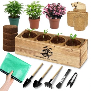 Kit de démarrage portable <span class=keywords><strong>pour</strong></span> bonsaï au design Art Déco haut de gamme, boîte cadeau en bois, tapis de repotage, pots en toile de jute, outils de jardinage <span class=keywords><strong>pour</strong></span> adultes - Product Image 1