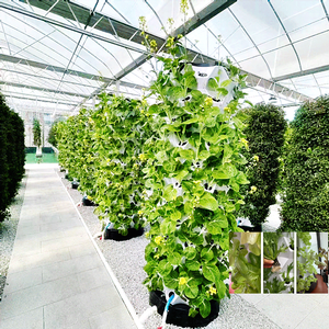 Innovative Hydroponic Flood and Drain Hydroponics <strong>System</strong> <strong>Vertical</strong> - Product Image 2