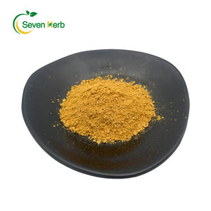 Suplemento de Saúde em Pó de Extrato de Raiz de Rumex Crispus, Extrato de Rumex Crispus, Extrato de Rumex - Product Image 3