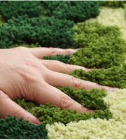 Tapis en mousse 3D épais fait à la machine QIANQIAO, tapis moelleux et shaggy, forêt, antidérapant, décoratif, vert, pelucheux, nature, pour chambre d'enfant, crèche