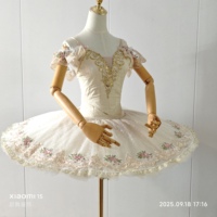 Nouveaux Costumes de performance de ballet classique professionnel haut de gamme Vêtements de tutu de crêpes attrayants
