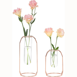 Vase hydroponique en verre et métal INS, dispositif en cristal, terrarium, station <span class=keywords><strong>de</strong></span> multiplication, <span class=keywords><strong>d</strong></span>écor <span class=keywords><strong>de</strong></span> maison, articles mobilier, vase en or - Product Image 3