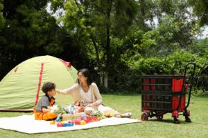 Chariot à bagages convertible <span class=keywords><strong>2</strong></span> en 1 Chariot à main pliable à usage intensif Chariot à main pliable - Product Image 6