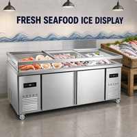 Vitrine Réfrigérée Horizontale Commerciale en Acier Inoxydable à Double Température et Refroidissement Direct pour Fruits de Mer, Barbecue et Plats Froids