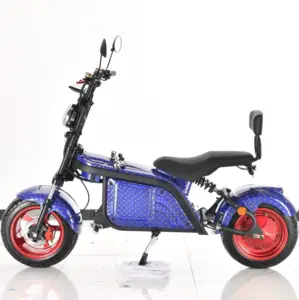 New Fashion Model China Factory 3000W/4000W New Design 12/20/30Ah EEC COC Electric Scooter Citycoco Adult