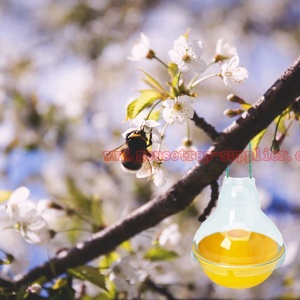 Trappola per vespe da mosca in plastica per esterni da giardino - Product Image 6