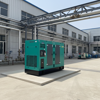 Grupo Electrógeno Diésel Silencioso de 250 kVA, Trifásico, 400 V, Refrigerado por Agua, de Uso Industrial