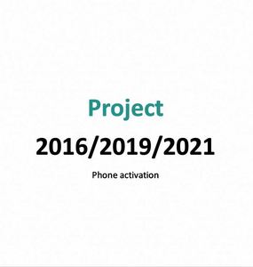 Versión Pro de Activación Telefónica para el Software Project Professional 2016/2019/2021/2024, Envío Garantizado en Línea - Product Image 5