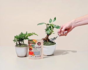 Hot Selling <strong>Slow</strong> <strong>Release</strong> Bonsai <strong>Food</strong> Long-Lasting Nutrition for Precious Bonsai Design for Garden Home or Desktop Decoration - Product Image 2