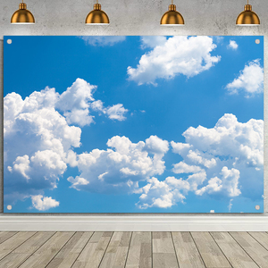 Bleu ciel blanc nuages <span class=keywords><strong>paysage</strong></span> toile de fond photographie <span class=keywords><strong>paysage</strong></span> naturel enfants bébé douche fête d'<span class=keywords><strong>anniversaire</strong></span> fond Photo Studio - Product Image 5