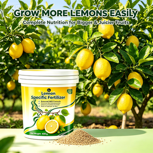 <span class=keywords><strong>Engrais</strong></span> Spécifique pour Citrons 450g Augmentation du Rendement de 80% <span class=keywords><strong>NPK</strong></span> Équilibré Améliore la Brillance des Fruits Acidité Prévient la Chute des Fruits Serres Citricoles - Product Image 3