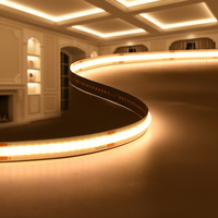 Bande LED COB avec garantie de 3 ans, 480 LED, CE RoHS, 12V 24V, 100 pieds, blanc chaud 6500k, bande LED COB flexible