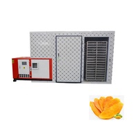 Bananenchips Fruit Hete Lucht Droogmachine Rode Bayberry Droger Dehydratator Boom Ananas Banaan Warmtepomp Droger Machine