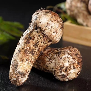<span class=keywords><strong>Matsutake</strong></span> De Seta Rong, producto de alta calidad, <span class=keywords><strong>tricholoma</strong></span>, precio al por mayor - Product Image 2
