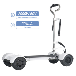 KSM-930 certificat CE passionnant électrique Golf Buggy Scooter panier batterie hors route planche à roulettes électrique - Product Image 1
