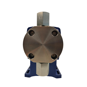 Pompe doseuse multifonction Lango, contrôle numérique, <span class=keywords><strong>signal</strong></span> pulsé, <span class=keywords><strong>signal</strong></span> analogique 4-20 mA, indice de protection IP65, EX-B306Y - Product Image 3