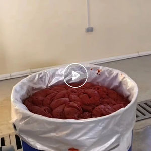 Línea de producción de pasta de tomate con Control PLC automático, máquina de procesamiento de pasta de tomate, pulpa de Ketchup y mermelada - Product Image 5