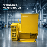 Alternateur sans balais de type Stanford 100 kVA 80 kW 400 V 50 Hz avec AVR, prix direct usine