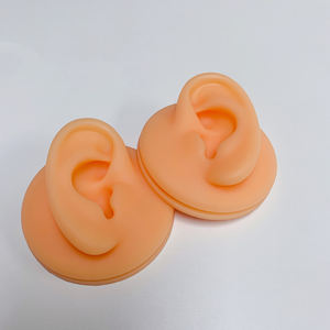 DIY 3D silicona oído líquido suave oído humano modelo silicona oreja modelo para educación médica molde - Product Image 6
