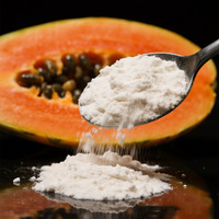 Ingrediënt Kruidenextract Hoge Concentratie Papajapoeder Papajavruchtenpoeder