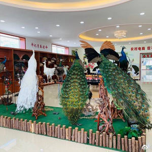 Grande taille photographie accessoires fête de mariage décoration de noël Simulation paon réel à la recherche plume paon spécimen - Product Image 2