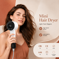 Sèche-cheveux ionique professionnel portable mini haute vitesse certifié OEM le plus populaire sur les marchés européens et coréens avec diffuseur