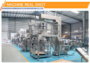 Sachet Vertical Ziploc Tenant Debout à Soufflet Machine d'Emballage pour <span class=keywords><strong>Chanvre</strong></span> avec Imprimante d'Étiquetage et Thermoscellage - Product Image 2