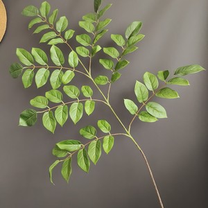 Hojas Artificiales de Lagerstroemia de Tacto Real, Ramas de Olmo Verde Natural Artificial, Follaje Falso para Decoración Minimalista del Hogar - Product Image 1