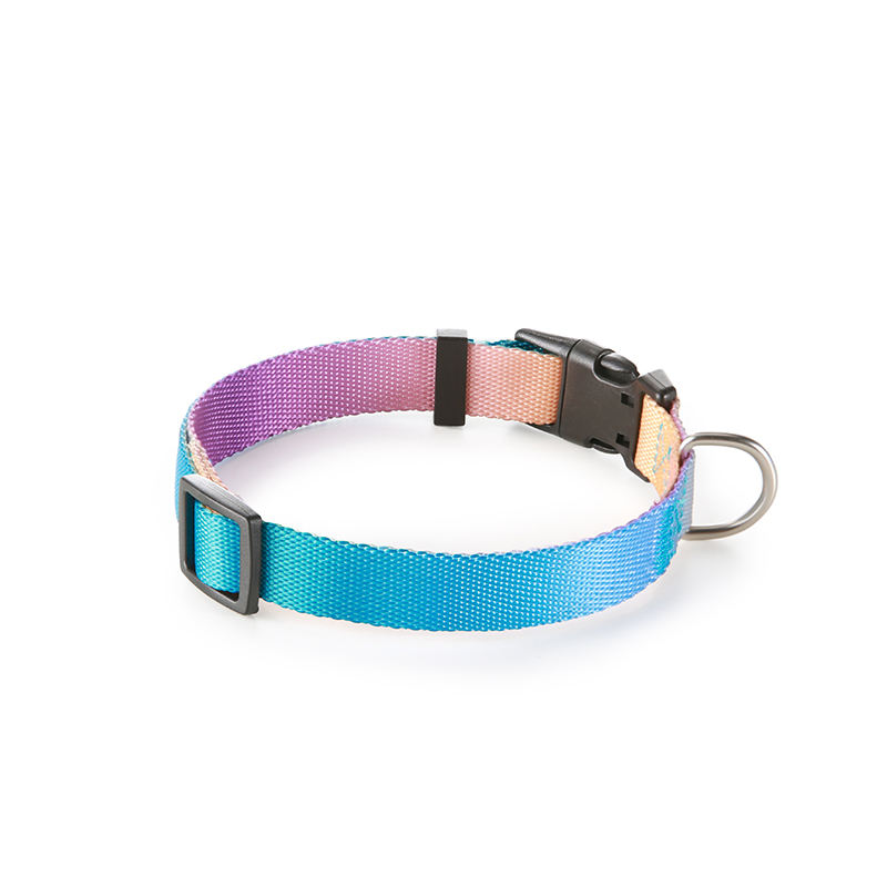 Purple gradient-collar