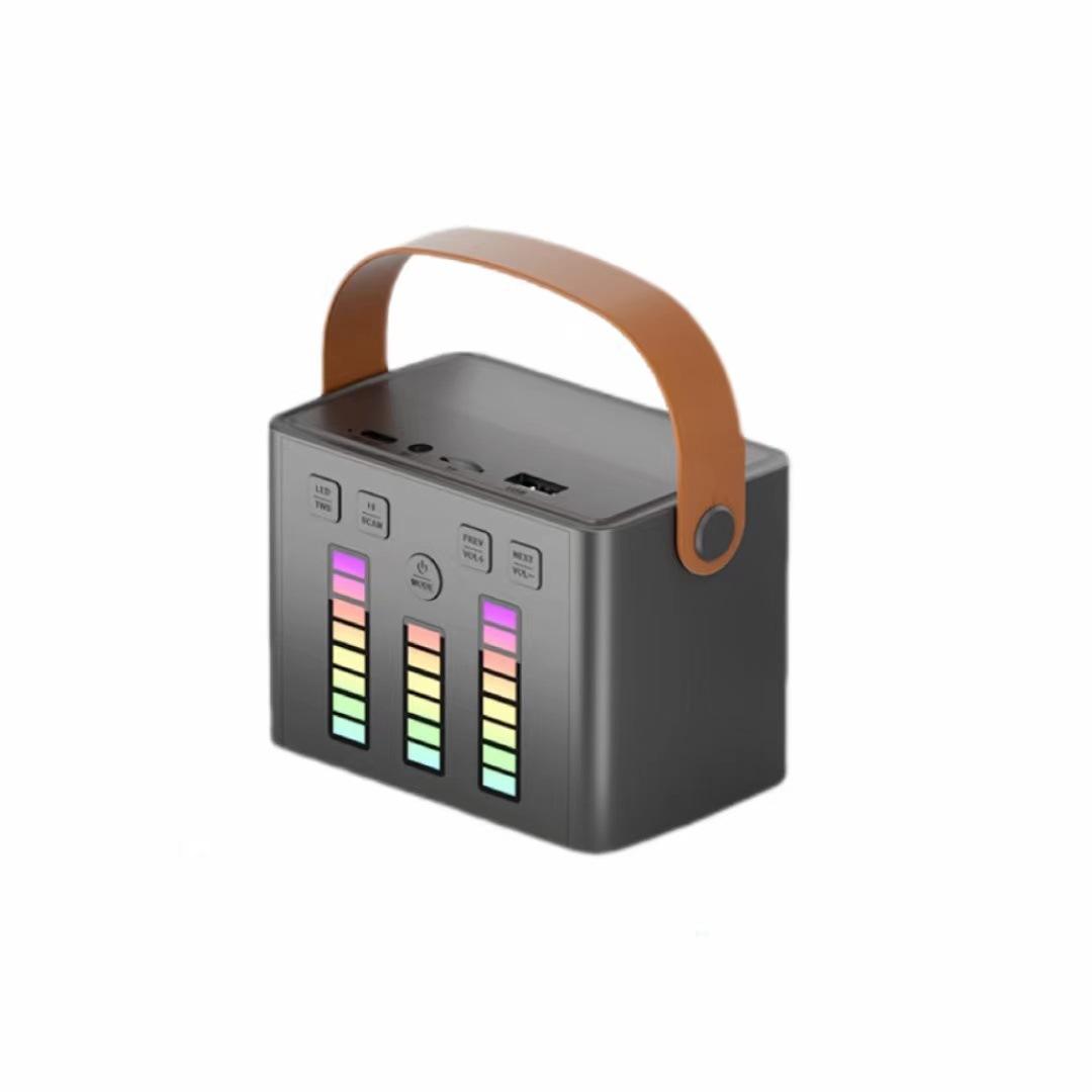 Q-2 haut-parleur unique noir