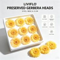 Chrysanthèmes Africains Préservés 4-5 cm 9 Pièces/Boîte Fleurs Éternelles Réelles Accessoires de Décoration Intérieure Mariage Composition Florale