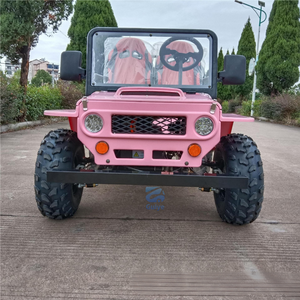 Neue Elektro- oder Benzinfahrzeuge mit 4 Rädern, hergestellt in China, für Erwachsene, Mini-Elektro-Jeep, Offroad-Mini-Jeep, 150cc - Product Image 1